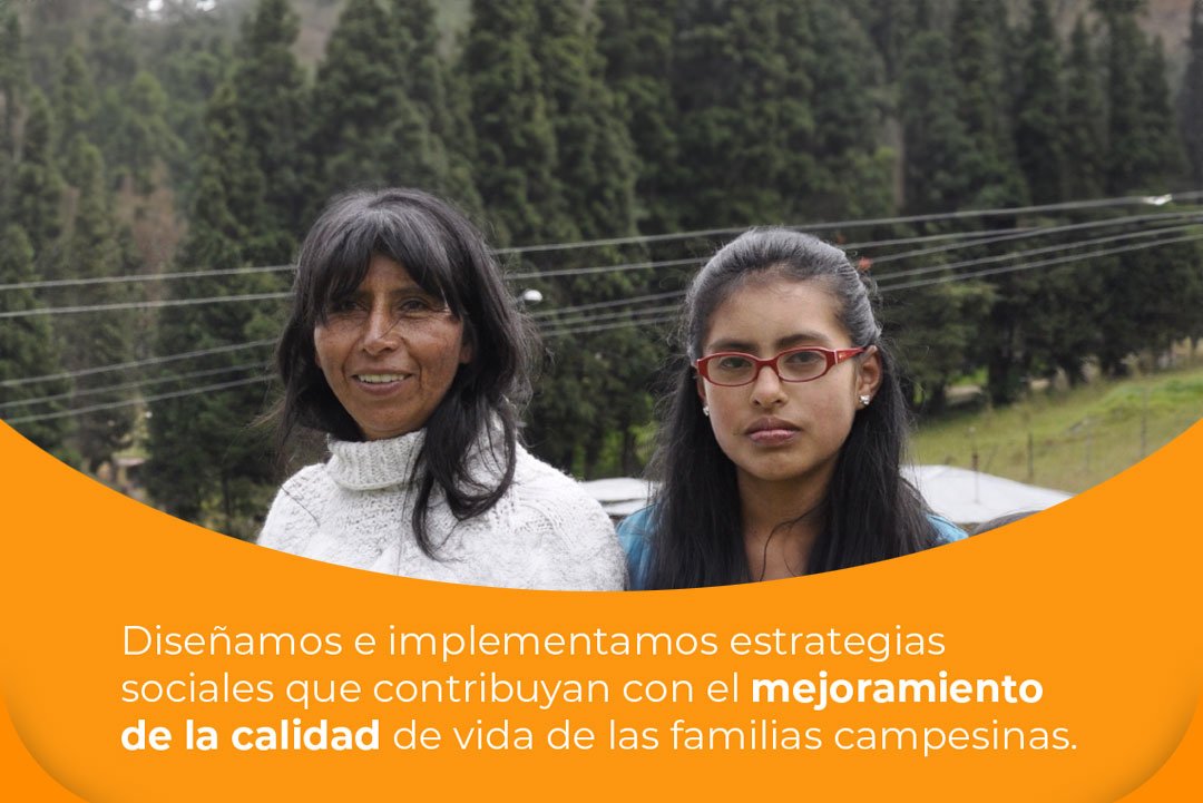 Diseñamos e implementamos estrategias sociales que contribuyan con el mejoramiento de la calidad de vida de las familias campesinas