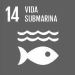 Vida submarina