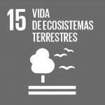 Vida de ecosistemas terrestres