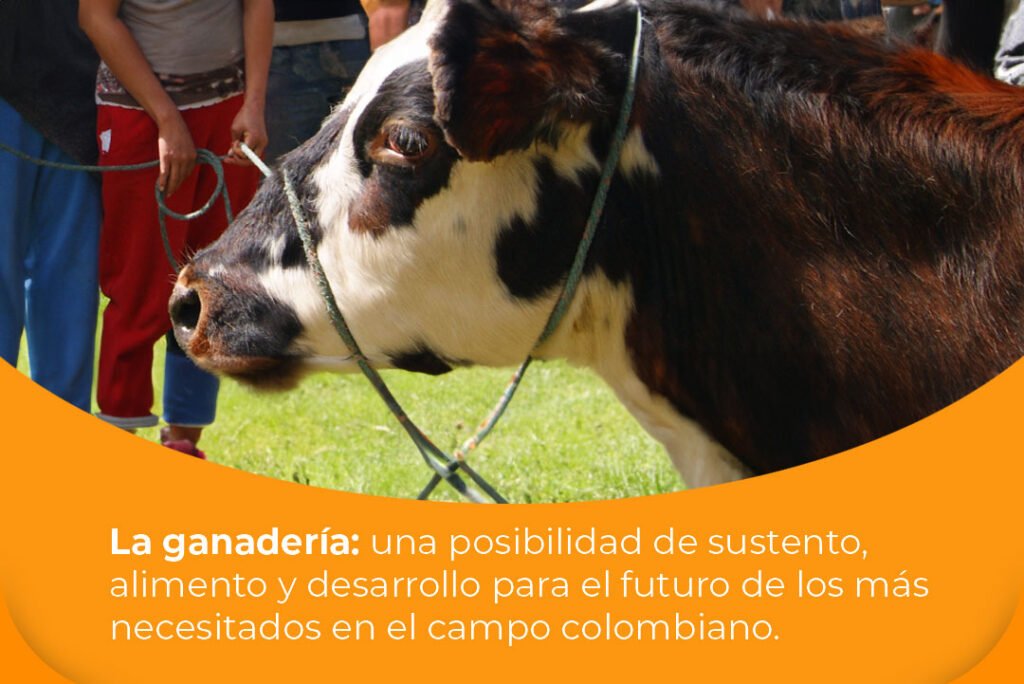 Compre Una Vaca Por 800 Respuesta fundagan.org.co