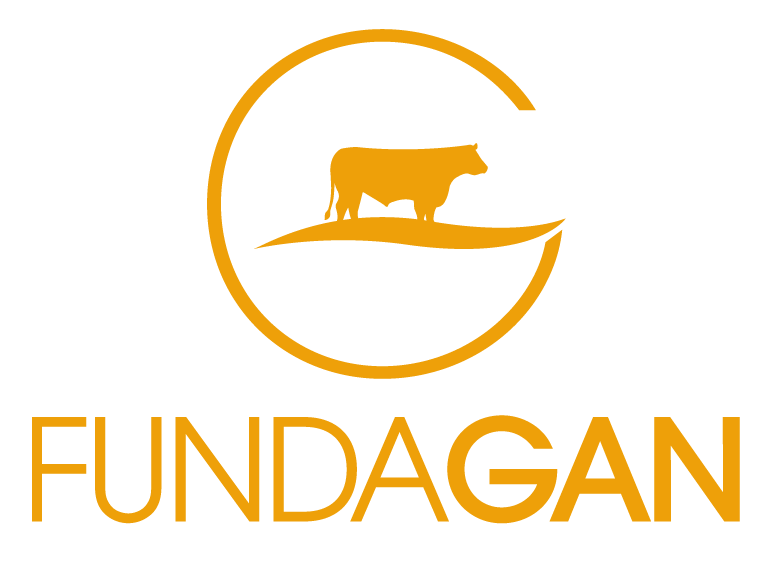 Fundagan - logo